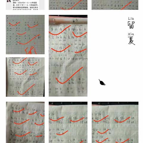 徐庄小学430教师线上教学记录