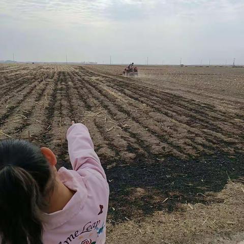 通榆县实验小学校2019级百草园三班林子淇家庭读书会（第五期）劳动最光荣
