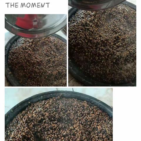 通榆县实验小学一年三班林子淇家庭读书会《第五期》“劳动最光荣”