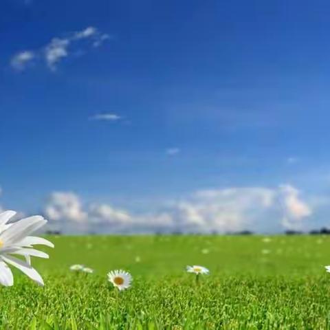 坚定信念，让线上，无“上限”——鲁山县第十九初级中学防疫与线上教学记实