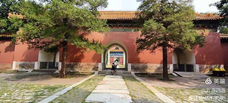 金丝楠木目前市场价