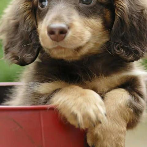 呵呵呵呵么么哒