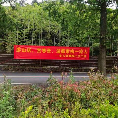 游山居，赏春景—温馨紫梅一家人