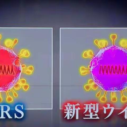 大阪大學醫學部教授：新冠在日本現狀