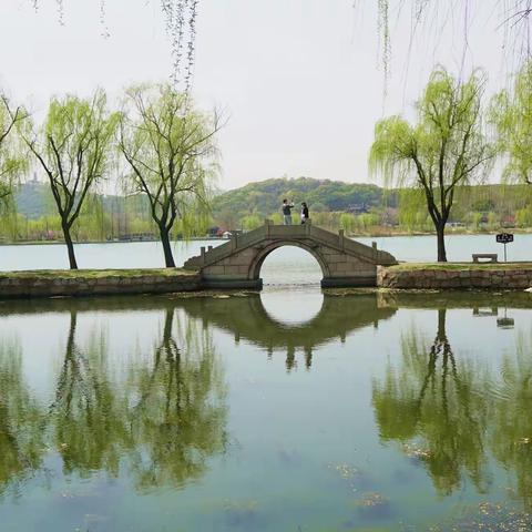 骑行赏春记