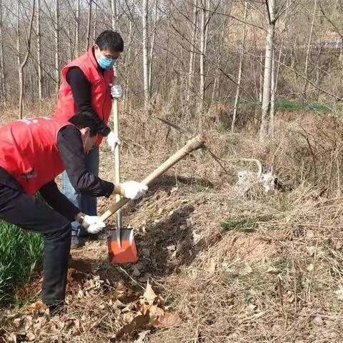 助力张华岭森林乡村建设新密税务人在行动