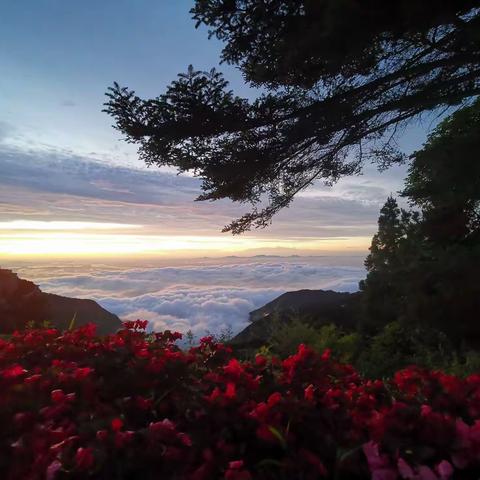 2022年，庐山之夏