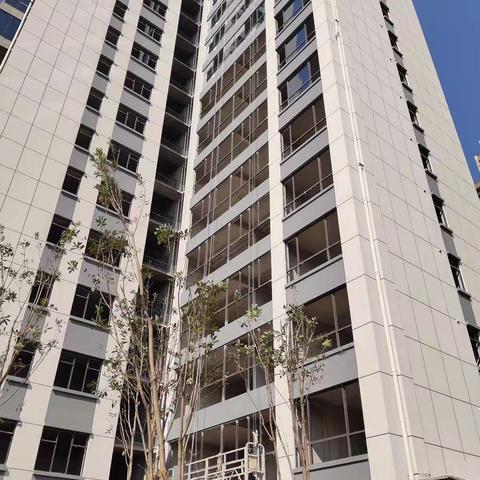 新天地28栋最新进度