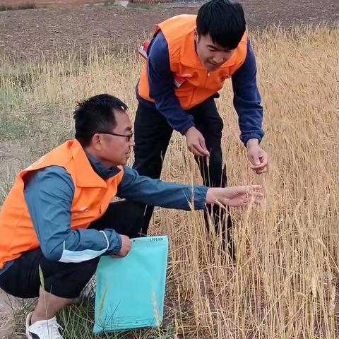 生逢其时  敢做敢为--记中宁支行马强参加总行五四青年节座谈