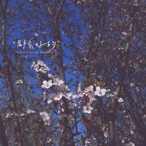 战役情——抖音搞笑视频大赛