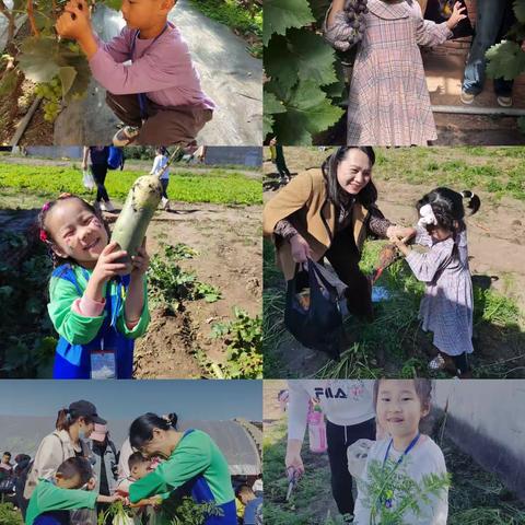 品自然之美，享丰收之喜。——方苹果幼儿园秋日采摘活动和秋季运动会活动