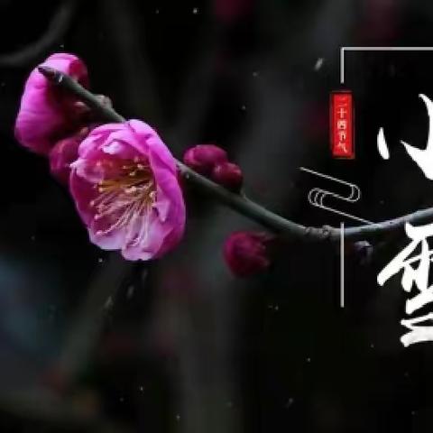 小雪，疑是林花昨夜开——二十四节气里的中国智慧