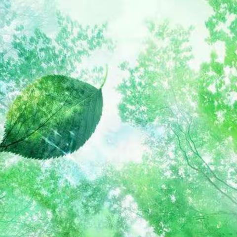 为生命画一片树叶