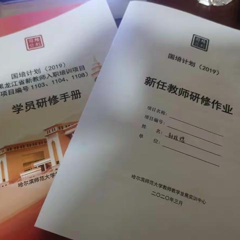 国培计划（2019）黑龙江省新教师入职培训项目