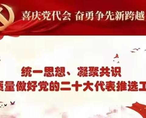 昌平支行零售金融业务部党支部扎实做好党的二十大代表选举工作