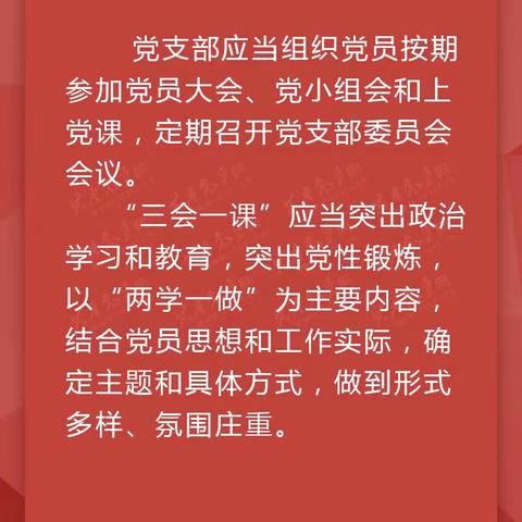 《中国共产党支部工作条例（试行）》词条课件