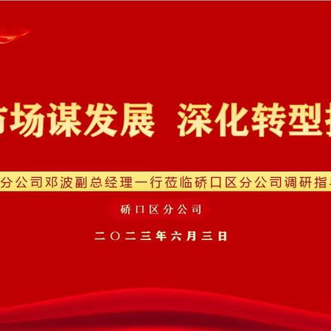 精耕市场谋发展 深化转型提质效—市分公司邓波副总经理一行莅临硚口区分公司调研指导