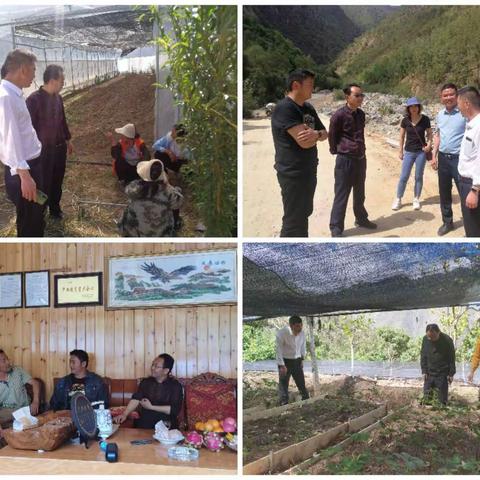 深耕农村蓝海市场，回归本源服务三农