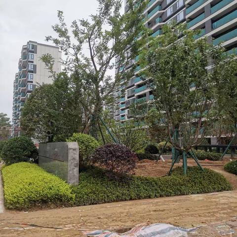 旭辉工地进度(四)