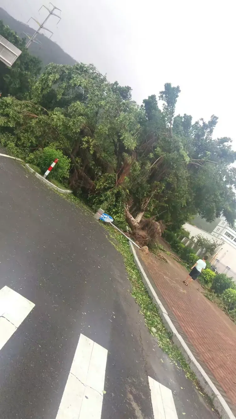 2017年8月23日台风"天鸽"掠过珠海三灶后的点点记忆