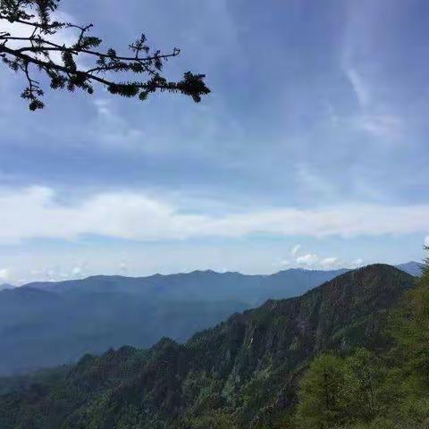 爱我秦岭   保护家园 ―― 记关于秦岭的手抄报活动