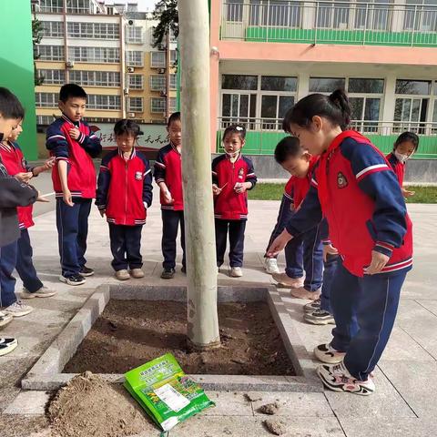 春天万物复苏 | 马店小学小小花农播种春天