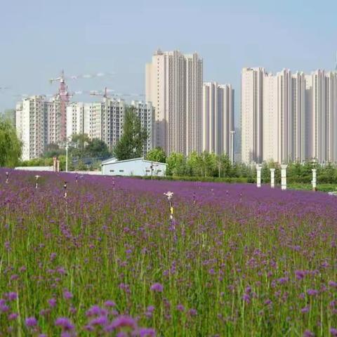 狠抓整改落实，促进科技成效