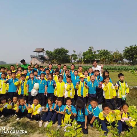 不负春光，一起“趣”春游——芒市五小一年级61班