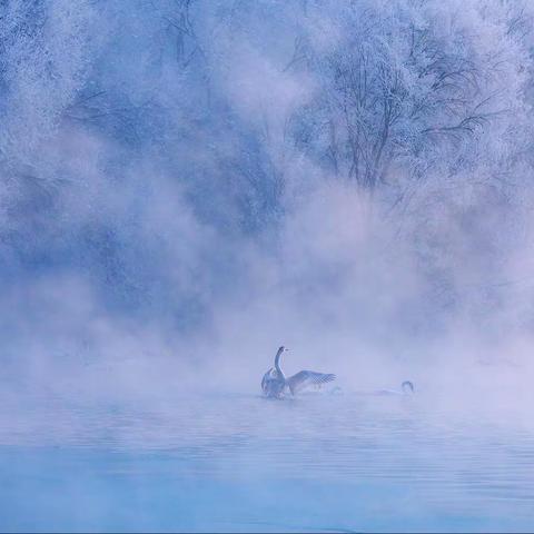 起舞弄清影，不似在人间