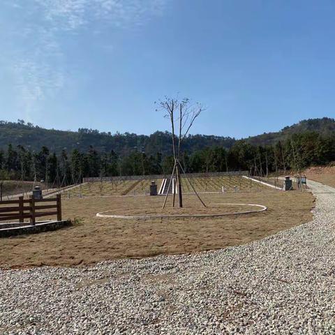 桐琴镇桐三—姚产联建草坪生态公墓