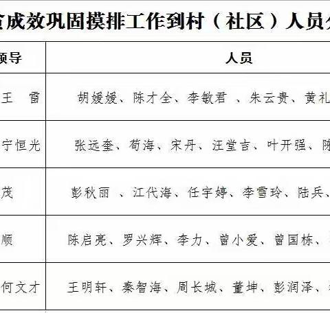 上下同心，尽锐出战做好王寨镇脱贫攻坚与乡村振兴有效衔接“体检”工作