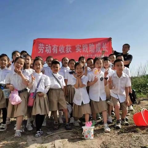 绽放劳动之花 收获快乐之果