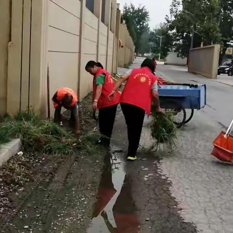 开元街道清洁家园在行动（下申街村）