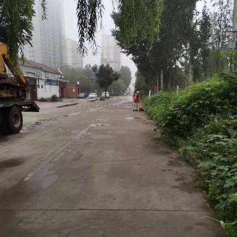 开元街道清洁家园在行动（下申街村）