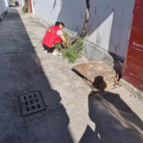 开元街道清洁家园在行动（下申街村）