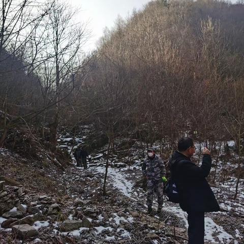 康南林业总场检查验收豆坝林场2022年度第二批森林抚育工作