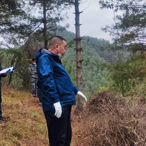 豆坝林场督导检查2022年秦岭西段水源涵养与生物多样性保护修复项目
