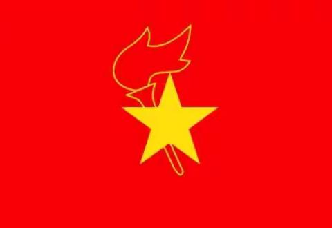 中国少年先锋队