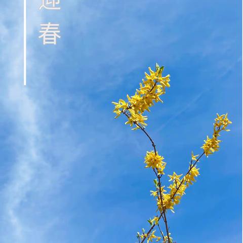 春之濮阳县六中