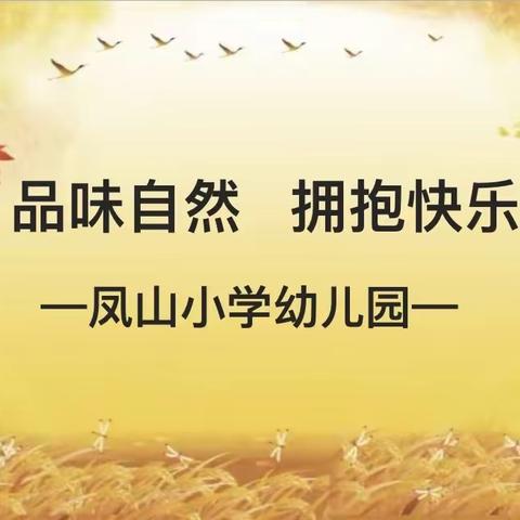 “品味自然    拥抱快乐”——凤山小学幼儿园游学活动