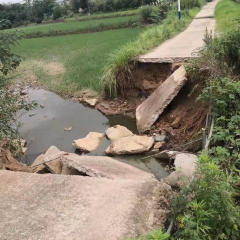 灾后重建－－我们在行动