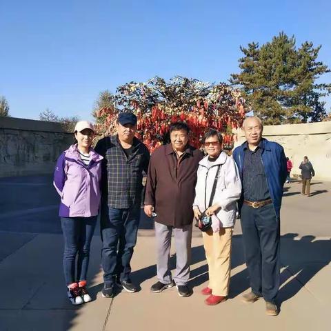 叶正黄，秋意浓