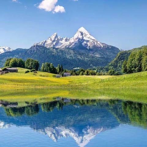 梧高风必至，花香蝶自来