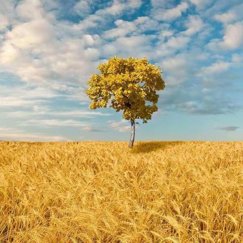 阳光明媚，风和日丽