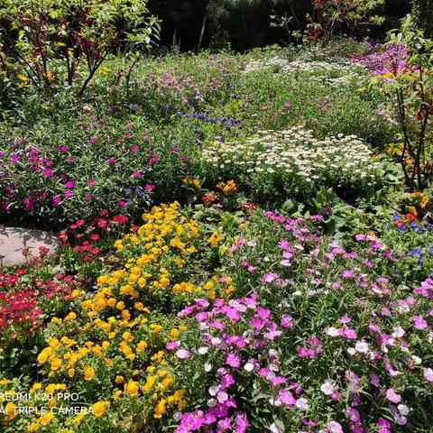人间四月芳菲尽