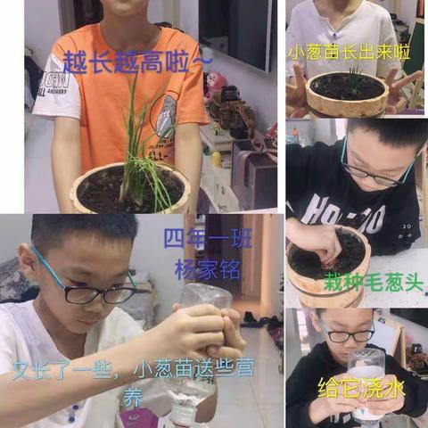 种植快乐 收获成长