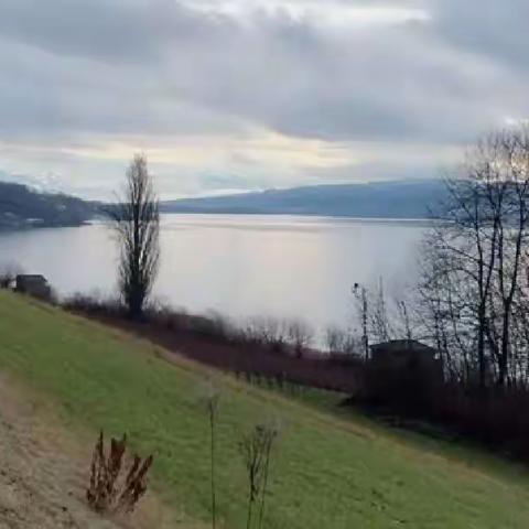 云游~🇨🇭哈尔威尔篇（一） --冬雨中的哈尔威尔湖畔