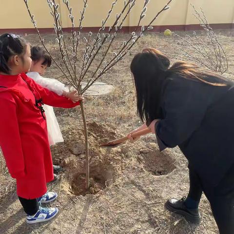 “晓一叶之理，种一树美好”梁召幼儿园3.12植树节活动