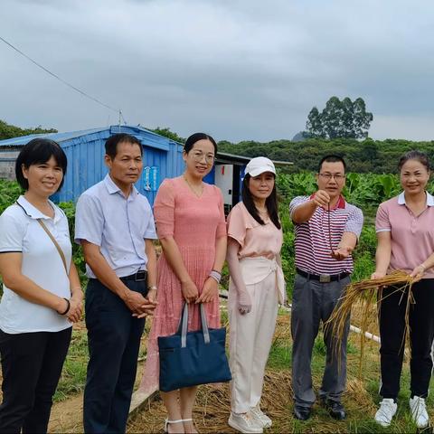 玉林市小个专党委李宁书记和中药材市场党支部代表到基地考察