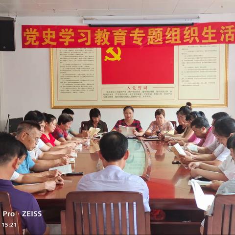 玉林市小个专中药材市场党支部开展党史学习教育专题组织生活会